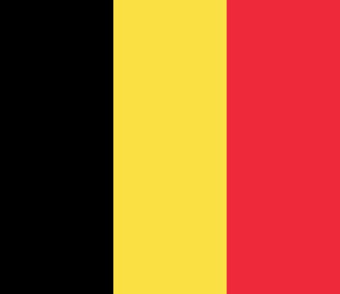 Belgium National Flag, Original(Basic) type 2D image