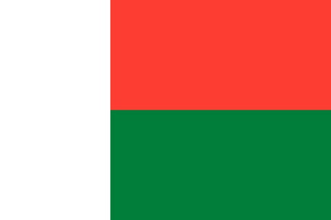 Madagascar National Flag, Original(Basic) type 2D image