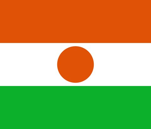 Niger National Flag, Original(Basic) type 2D image