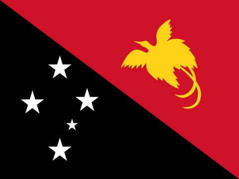 Papua-New-Guinea National Flag, Original(Basic) type 2D image