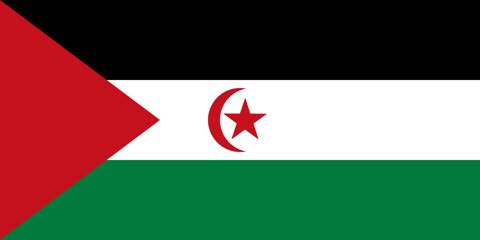 Saharan-Arab-Democratic-Republic National Flag, Original(Basic) type 2D image