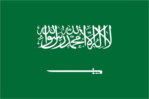 サウジアラビア国旗, 基本型 2Dイメージ