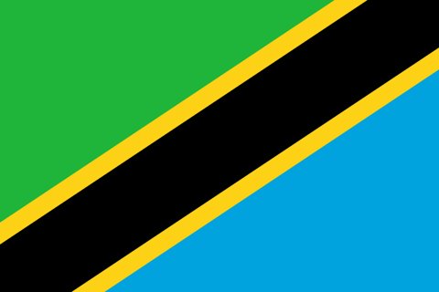 Tanzania National Flag, Original(Basic) type 2D image