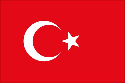 Turkiye National Flag, Original(Basic) type 2D image