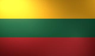 Lithuania National Flag, Basical ratio National Flag with texture and shadow