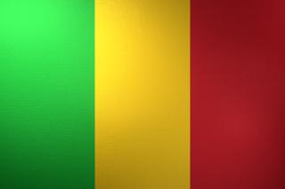 Mali National Flag, Basical ratio National Flag with texture and shadow