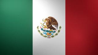 Mexico National Flag, Basical ratio National Flag with texture and shadow