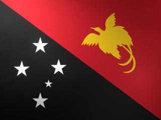 Papua-New-Guinea National Flag, Basical ratio National Flag with texture and shadow