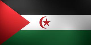 Saharan-Arab-Democratic-Republic National Flag, Basical ratio National Flag with texture and shadow