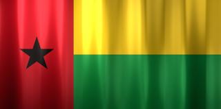 Guinea-Bissau National Flag, Basical waving National Flag with texture and shadow