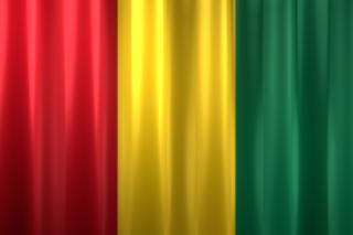 Guinea National Flag, Basical waving National Flag with texture and shadow