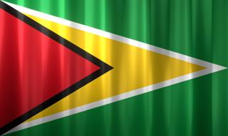 Guyana National Flag, Basical waving National Flag with texture and shadow