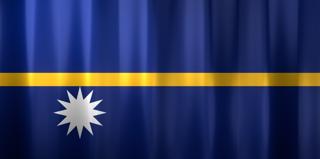 Nauru National Flag, Basical waving National Flag with texture and shadow