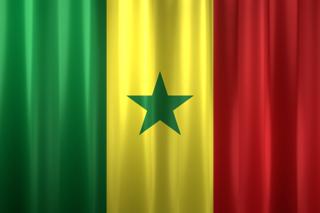 Senegal National Flag, Basical waving National Flag with texture and shadow