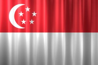 Singapore National Flag, Basical waving National Flag with texture and shadow