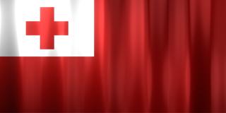 Tonga National Flag, Basical waving National Flag with texture and shadow