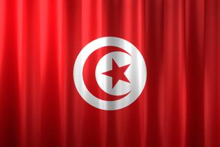 Tunisia National Flag, Basical waving National Flag with texture and shadow