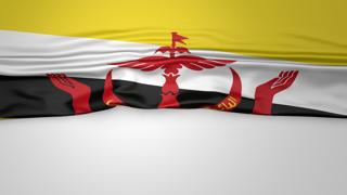 Brunei National Flag, Flag folded in half and placed on white paper