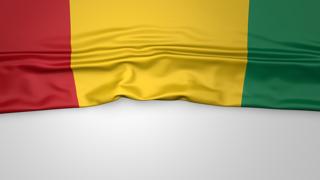 Guinea National Flag, Flag folded in half and placed on white paper