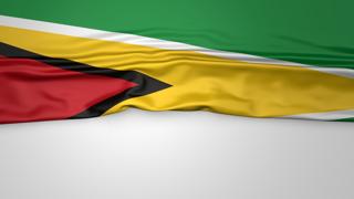 Guyana National Flag, Flag folded in half and placed on white paper