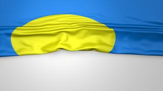 Palau National Flag, Flag folded in half and placed on white paper