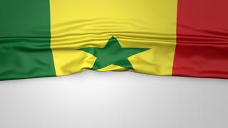 Senegal National Flag, Flag folded in half and placed on white paper