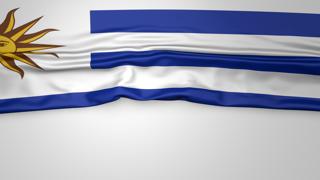 Uruguay National Flag, Flag folded in half and placed on white paper