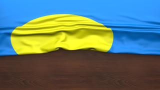 Palau National Flag, Flag folded in half and placed on wood desk