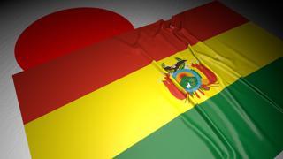 Bolivia National Flag, The national flag placed on top of the Japanese flag on a desk in a dark space