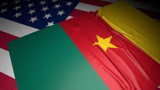 Cameroon National Flag, A flag placed on top of an American flag on a desk in a dark space