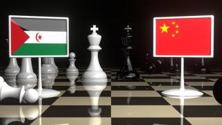 Saharan-Arab-Democratic-Republic National Flag, The national flag on a chessboard with the Japanese flag in the background