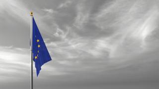 EU National Flag, The national flag and flagpole visible from afar against a black and white sky background