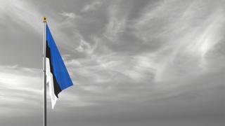 Estonia National Flag, The national flag and flagpole visible from afar against a black and white sky background