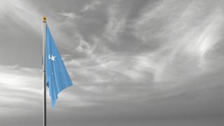 Federated-States-of-Micronesia National Flag, The national flag and flagpole visible from afar against a black and white sky background