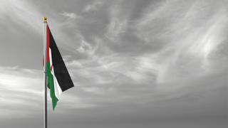 Saharan-Arab-Democratic-Republic National Flag, The national flag and flagpole visible from afar against a black and white sky background