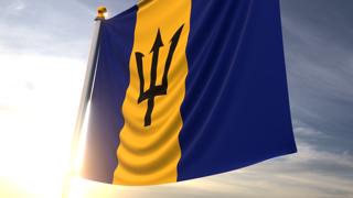 Barbados National Flag, A fluttering flag and flagpole seen up close against a dark blue sky