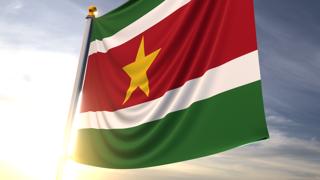 Suriname National Flag, A fluttering flag and flagpole seen up close against a dark blue sky