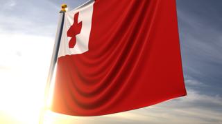 Tonga National Flag, A fluttering flag and flagpole seen up close against a dark blue sky