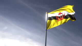 Brunei National Flag, The national flag and flagpole looking up against a dark blue sky