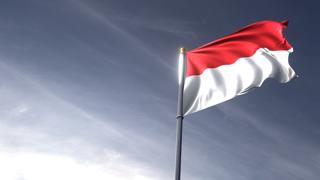 Monaco National Flag, The national flag and flagpole looking up against a dark blue sky