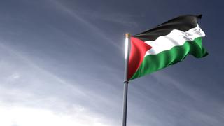 Palestine National Flag, The national flag and flagpole looking up against a dark blue sky