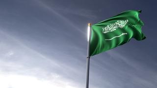 Saudi-Arabia National Flag, The national flag and flagpole looking up against a dark blue sky