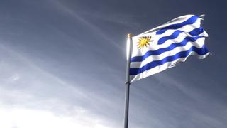 Uruguay National Flag, The national flag and flagpole looking up against a dark blue sky