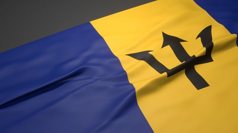 Barbados National Flag, A slanted national flag on a desk