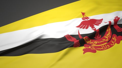 Brunei National Flag, A slanted national flag on a desk