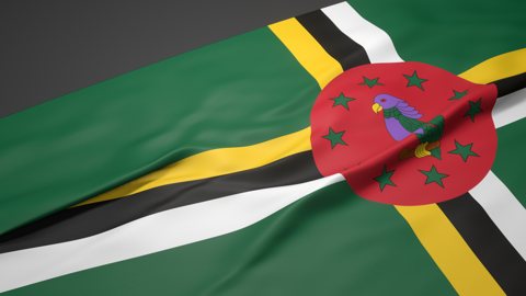 Commonwealth-of-Dominica National Flag, A slanted national flag on a desk