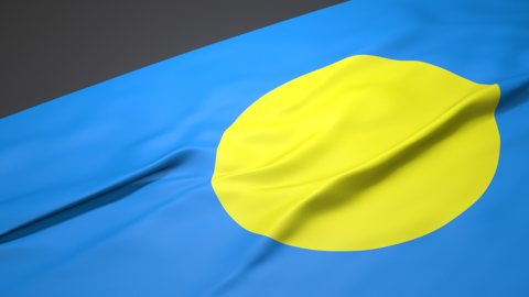 Palau National Flag, A slanted national flag on a desk