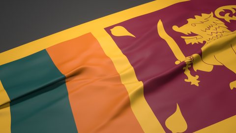 Sri-Lanka National Flag, A slanted national flag on a desk