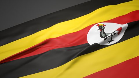 Uganda National Flag, A slanted national flag on a desk