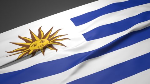 Uruguay National Flag, A slanted national flag on a desk